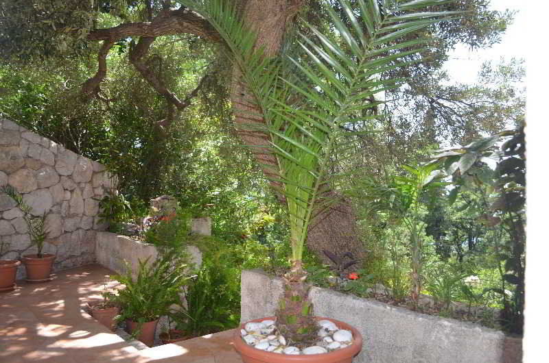 Apartments Martiva Dubrovnik Extérieur photo